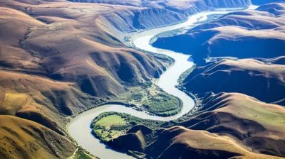 Illustration running - Image 1