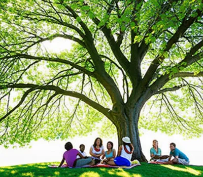 Illustration mister - Image 1