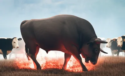 Illustration rut - Image 1