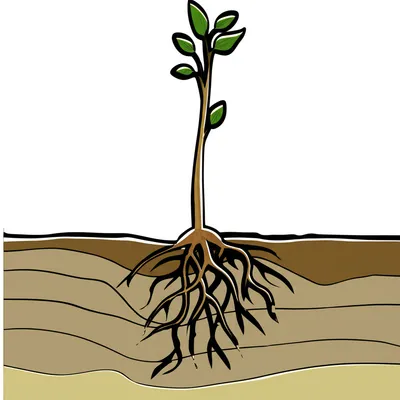 Illustration footing - Image 1