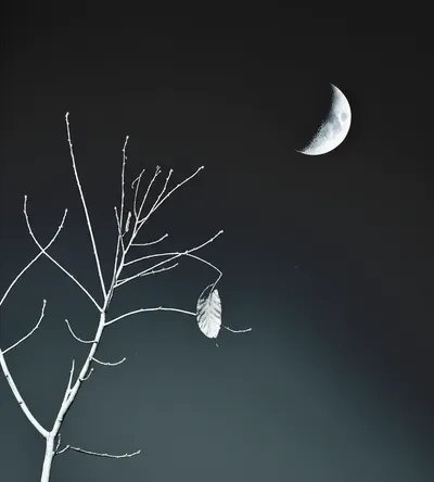 Illustration waning - Image 1