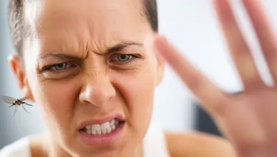 Illustration pestering - Image 1