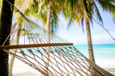 Illustration clew - Image 1