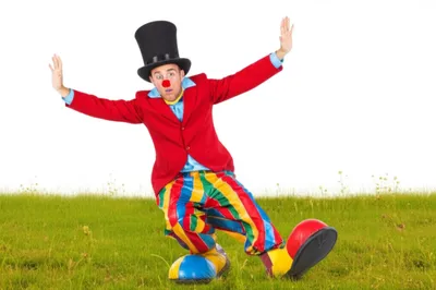 Illustration lapwing - Image 1