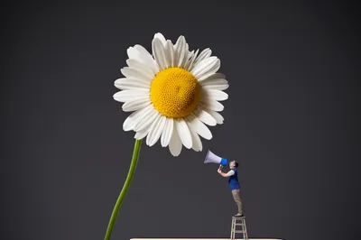 Illustration endear - Image 1