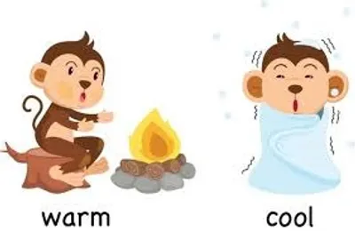 Illustration warm - Image 2