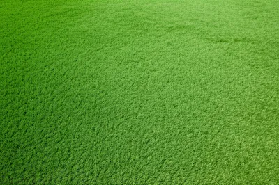 Illustration mats - Image 1