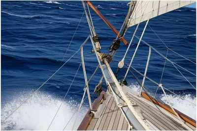 Illustration preventer - Image 1