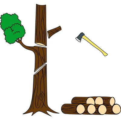 Illustration logging