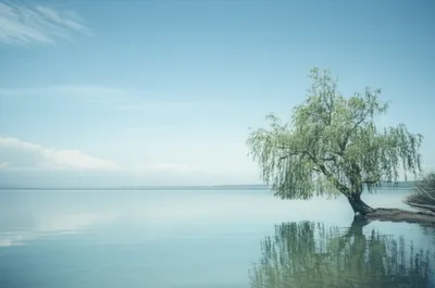 Illustration tranquillity - Image 1