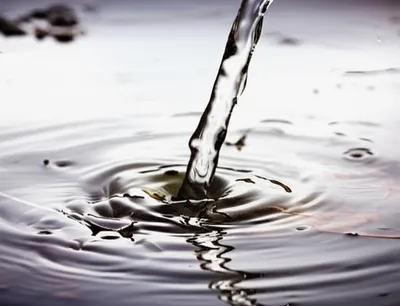 Illustration vitiated - Image 1