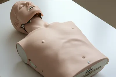 Illustration manikin - Image 1