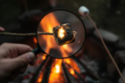 Illustration singers - Image 1