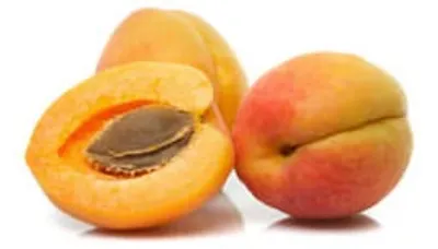 Illustration apricot - Image 2