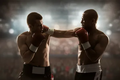 Illustration boxing - Image 1