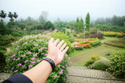 Illustration hither - Image 1