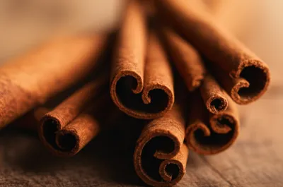 Illustration quills - Image 1