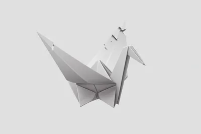 Illustration folded - Image 1