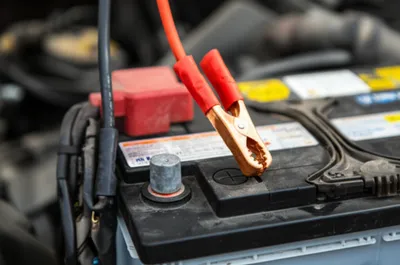 Illustration terminals - Image 1