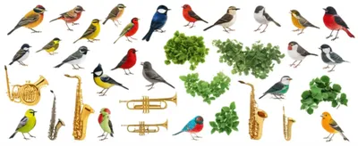 Illustration classes - Image 1