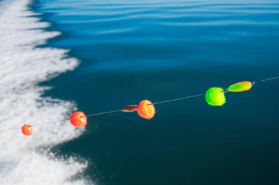 Illustration troll - Image 1