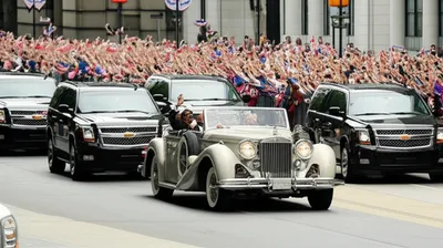 Illustration escorts