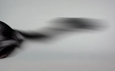 Illustration swishes - Image 1