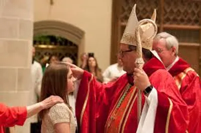 Illustration confirmation - Image 2