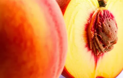 Illustration fuzz - Image 1