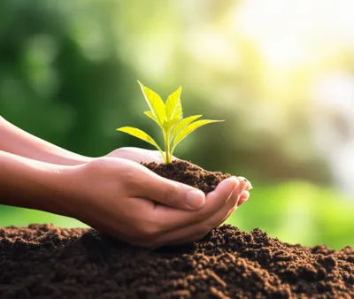 Hình ảnh minh họa grateful