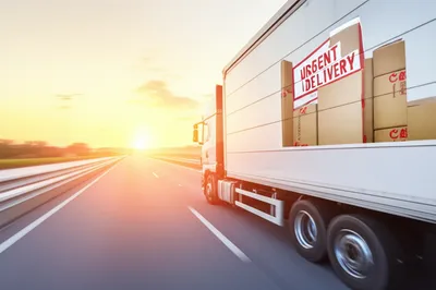 Illustration dispatch - Image 1