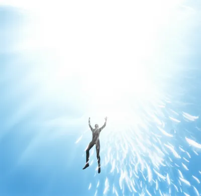 Illustration wings - Image 1