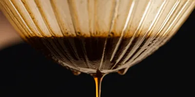 Illustration percolate - Image 1