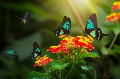 Illustration flashes - Image 1