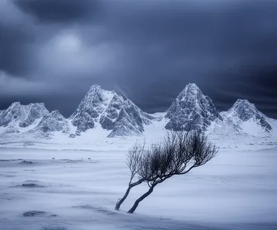 Illustration inclement - Image 1