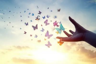 Illustration let - Image 1