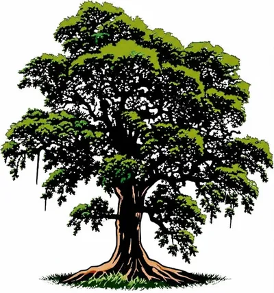 Illustration tenure - Image 1