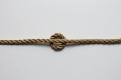 Illustration kink - Image 1