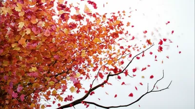 Illustration blew - Image 1