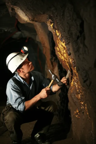 Illustration digging - Image 1