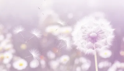 Illustration whispering - Image 1