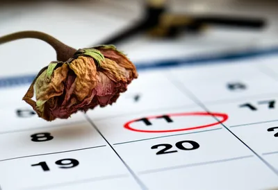 Illustration postponed