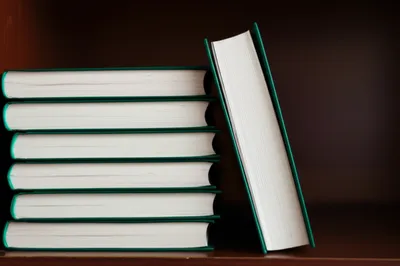 Illustration bug - Image 1