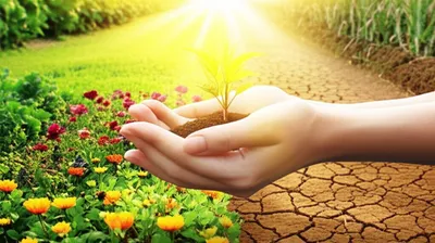 Illustration responsibilities - Image 1