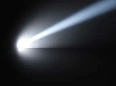 Illustration talbot - Image 1