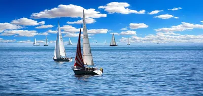 Illustration sailboats - Image 2