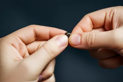 Illustration pick - Image 1