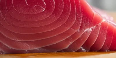 Illustration tuna - Image 1