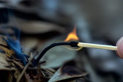 Illustration inflames - Image 1