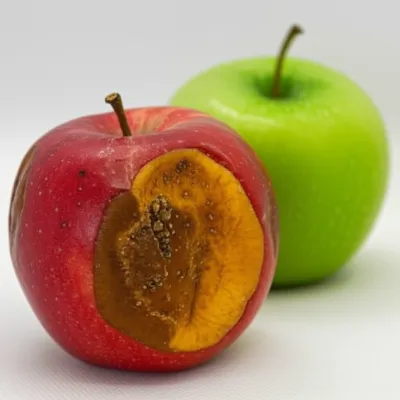 Illustration deterioration